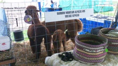 Interacting With Animal Husbands at the 2011 Mother Earth News Fair Image
